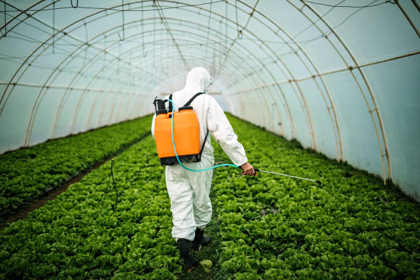 Professional Pest Control in Alva, FL