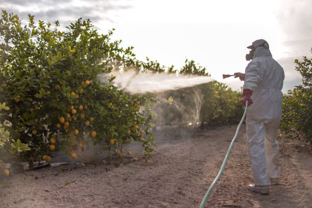 Best Pest Control Near Me  in Alva, FL