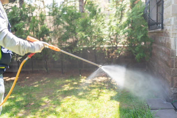 Best Affordable Pest Control Services  in Alva, FL