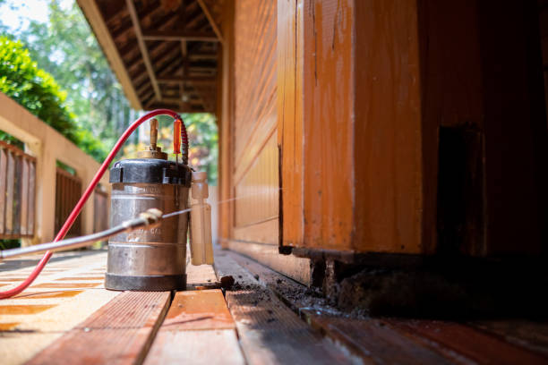 Best Affordable Pest Control Services  in Alva, FL