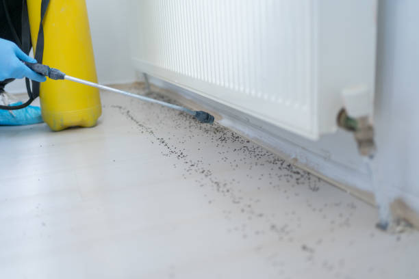 Best Emergency Pest Control  in Alva, FL